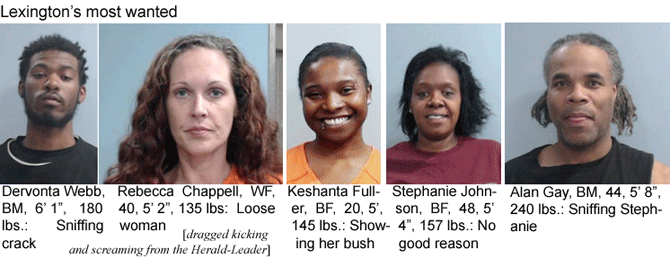 devontag.jpg Lexington's most wanted: Devonta Webb, BM, 6'1", 180 lbs, sniffing crack; Rebecca Chappell, WF, 40, 5'2", 135 lbs, loose woman; Keshanta Fuller, BF, 20, 5', 145 lbs, showing her bush; Stephanie Johnson, BF, 48, 5'4", 157 lbs, no good reason; Alan Gay, BM, 44, 5'8", 240 lbs, sniffing Stephanie (dragged kicking and screamiing from the Herald-Leader)