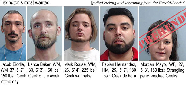 jacobbid.jpg Lexington's most wanted (pulled kicking and screaming from the Herald-Leader): Jacob Biddle, WM, 37 ,5'7", 150 lbs, Geek of the day; Lance Baker, WM, 33, 6'3", 160 lbs,Geek of the Week; Mark Rouse, WM, 26, 64", 225 lbs, Geek wannabe; Fabian Hernandez, HM, 25, 5'7", 180 lbs, Geek de hora; Morgan Mayo, WF, 27, 5' 3", 180 lbs, strangling pencil-necked geeks