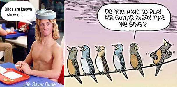 lifeairg.jpg "Do you have to play air guitar every time we sing?" Life Saver Dude: Birds are known show-offs
