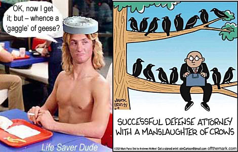 lifecrow.jpg Successful defense attorney with a manslaughter of crows Life Saver Dude: O, now I get it, but, whence a gaggle of geese?