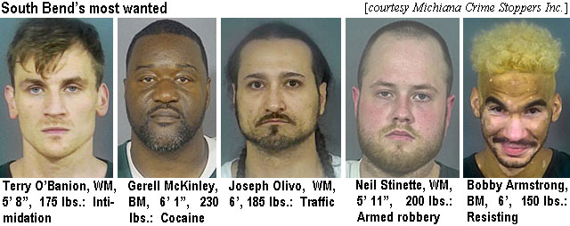 obaniont.jpg South Bend's most wanted (Michiana Crime Stoppers Inc.): Terry O'Banion, WM, 5'8", 175 lbs, intimidation; Gerell McKinley, BM, 6'1", 230 lbs, cocaine; Joseph Olivo, WM, 6', 185 lbs, traffic; Neil Stinette, WM, 5'11", 200 lbs, armed robbery; Bobby Armstrong, BM, 6', 150 lbs, resisting