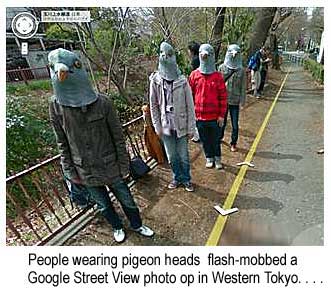 People wearing pigeon heads flash-mobbed a Google Street View photo op in Western Tokyo