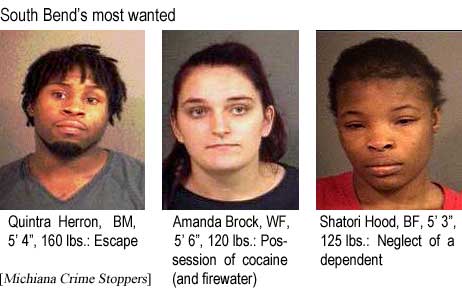 South Bend's most wanted: Qunitra Herron, BM, 5'4:, 160 lbs, escape; Amanda Brock, WF, 5'6", 120 lbs, possession of cocaine (and firewater); Shatori Hood, BF, 5'3", 125 lbs, neglect of a dependent (Michiana Crime Stoppers)