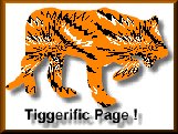 Tiger Award11K