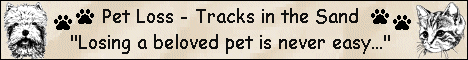 Pet Loss ~ Tracks in the Sand