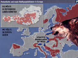 Potentielle und reale Wolfspopulation in Europa