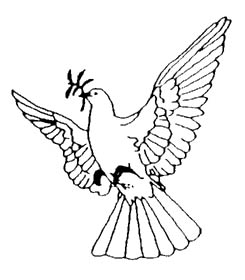 doves symbol of peace