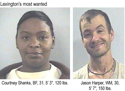 Lexington's most wanted: Courtney Shanks, BF, 31, 5'3", 120 lbs; Jason Harper, WM, 30, 5'7", 150 lbs