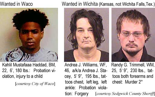 mustafaa.jpg Wanted in Waco: Kahlil Mustafaaa Haddad, BM, 22, 6', 180 lbs, probation violation, injury to a child (City of Waco); Wanted in Wichita (Kansas, not Wichita Falls, Tex.): Andrea J. Williams, WF, 46, a/k/a Andrea J. Stacey, 5'9", 195 lbs, tattoos chest, left leg, left anklw, probation violation, forgery; Rangy G. Trimmell, WM, 25, 5'9", 230 lbs, tattoos both forearms and chest, murder 2° (Sedgwick County Sheriff)