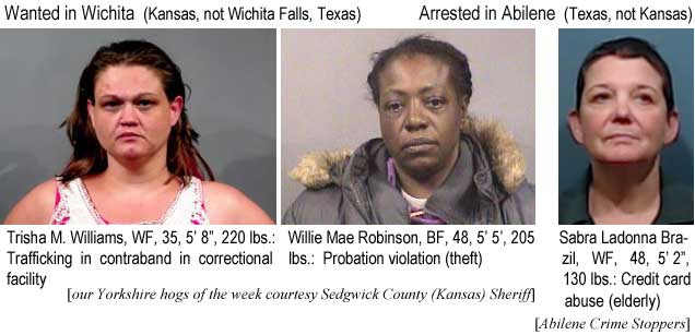 trishsab.jpg Wanted in Wichita (Kansas, not Wichita Falls, Texas): Trisha M. Williams, WF, 35, 5'8", 220 lbs, trafficking in contraband in correctional facility; Willie Mae Robinson, BF, 48, 5'5", 205 lbs, probation violation (theft) (our Yorkshire hogs of the week courtesy Sedgwick County, Kansas, Sheriff); Arrested in Abilene (Texas, not Kansas): Sabra Ladonna Brazil, WF, 48, 5'2", 130 lbs, credit card abuse (elderly) (Abilene Crime Stoppers)