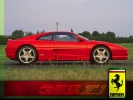 The Ferrari 355F1: the most affordable Ferrari ever to be built
-800x600