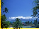 A Tropical Paradise!..(wish I were there :)
-800x600