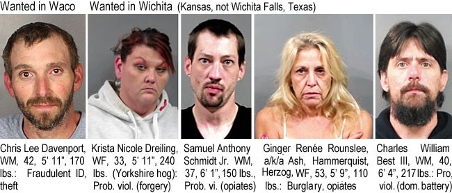 chrislee.jpg Wanted in Waco: Chris Lee Davenport, WM, 42, 5'11", 10 lbs, fraudulent ID, theft; Wanted in Wichita (Kansas, not Wichita Falls, Texas): Krista Nicole Dreiling, WF, 33, 5'11", 240 lbs (Yorkshire hog), prob. viol. (forgery); Samuel Amthony Schmidt Jr., WM, 37, 6'1", 150 lbs, prob. vi. (opiates); Ginger Renée Rounslee, a/k/a Ash, Hammerquist, Herzog, WF, 53, 5'9", 110 lbs, burglary, opiates; Charles William Best III, WM, 40, 6'4", 217 lbs, pro. viol. (dom. battery) (City of Waco, Sedgwick County Sheriff)
