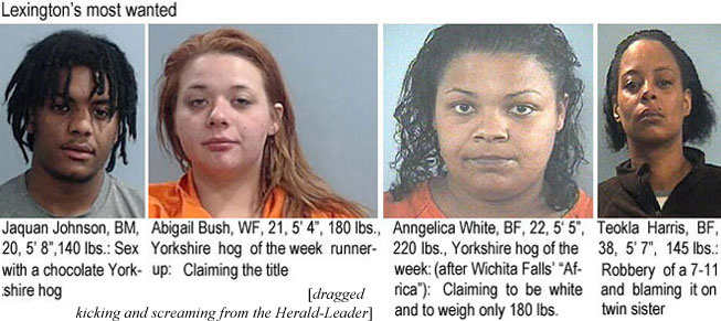 teoklaha.jpg Lexington's most wanted: Jaquan Johnson, BM, 20, 5'8", 140 lbs, sex with a chocolate Yorkshire hog; Abigail Bath, WF, 21, 5'4", 180 lbs, Yorkshire hog of the week runner-up, claiming the title; Anngelica White, BF, 22, 5'5", 220 lbs, claiming to be white and to weigh only 180 lbs; Teola Harris, BF, 38, 5'7", 145 lbs, robbery of a 7-11 and blaming it on her twin sister (dragged kicking and screaming from the Herald-Leader)