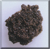 American Black Caviar (Paddlefish)