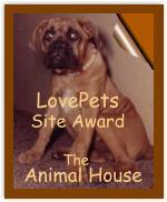 LovePets Site Award