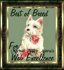 Best of Breed Award
