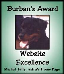 Burban's Award for Website Excellence