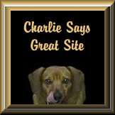 Charlie Great Site Award