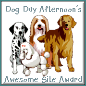 Dog Day Afternoon's Award
