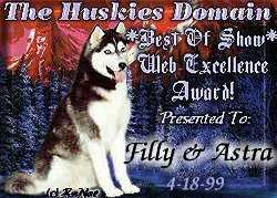 The Huskies Domain Award