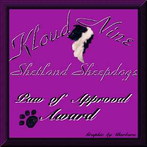 Kloud Paw of Approval Award