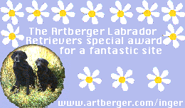 Artberger Special Award