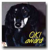 OKI Award