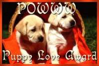 POWWW Puppy Love Award