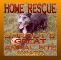 Sprout Great Animal Site Award