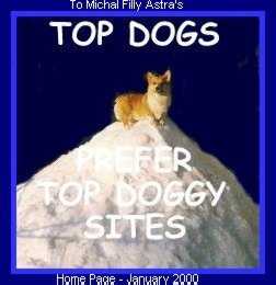 Taffy Top Dogs Award