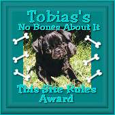 Tobias's This Site Rules Award