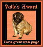 Valle's Award For a great web page