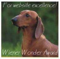 Wiener Wonder Excellence Award