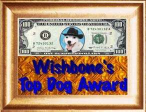 Wishbone's Top Dog Award