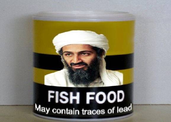 New Fish Food