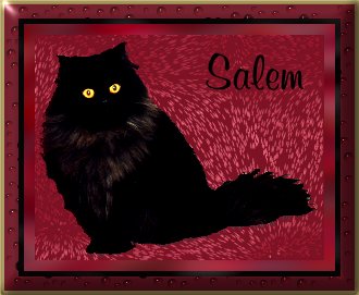Salem 22K