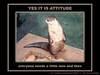 Otter Attitude