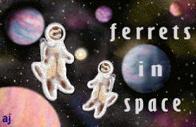 Ferrets in Space