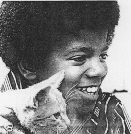 Mike plays with the kitty kitty