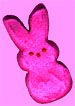 pink bunny