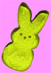 yellow bunny