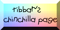 tibbar's chinchilla page