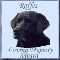 Raffes Loving Memory Award