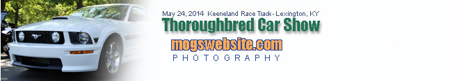 Thoroughbred Gallery
