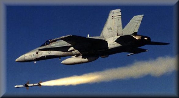 This Is A Canadian Military F-18 Tomcat  ( 25 years old )