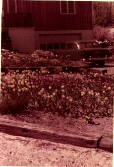 Spring, 1956