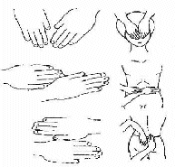 Reiki hand positions. Graphics by Arla M. Ruggles. Copyright 1995