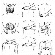 Reiki hand positions. Graphics by Arla M. Ruggles. Copyright 1995