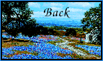 bbonback.gif (11165 bytes)